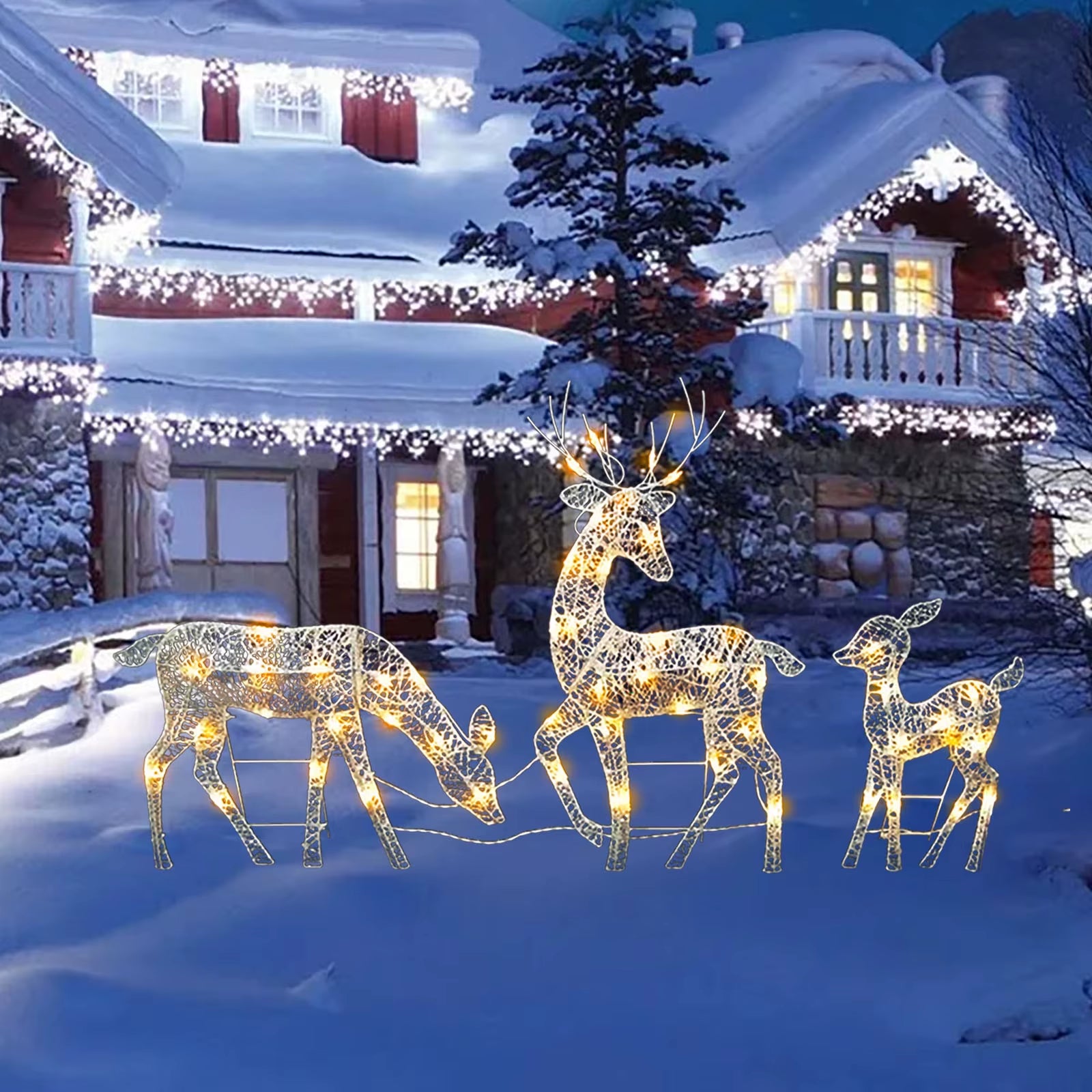 3Pc Lighted Deer Reindeer Family Lighted Deer Christmas Decor with Led Lights Light up Bucks Doe and Fawn Indoor or Outdoor Yard